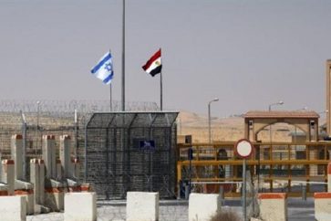 sinai-entitesioniste