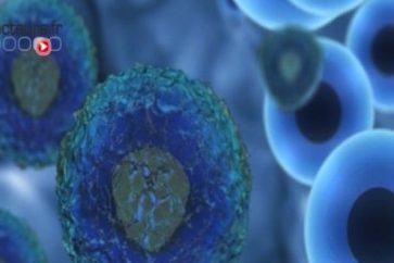 cellules_cancereuses