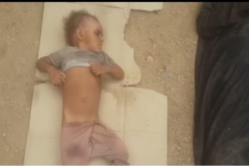 Raid saoudo-US contre une voiture de déplacés à Mokha