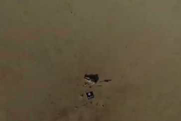 attaque_daech_avorte