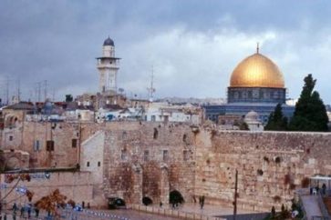 159ba6a2-51f6-4d8d-80a0-37a07dcb5b7e