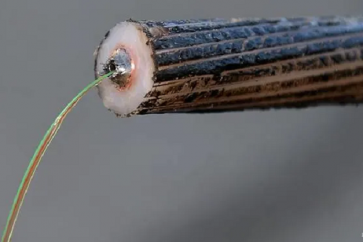 Le nouveau câble, baptisé Pacific Light Cable Network, devait initialement relier les Etats-Unis, Taïwan, Hong Kong et les Philippines.