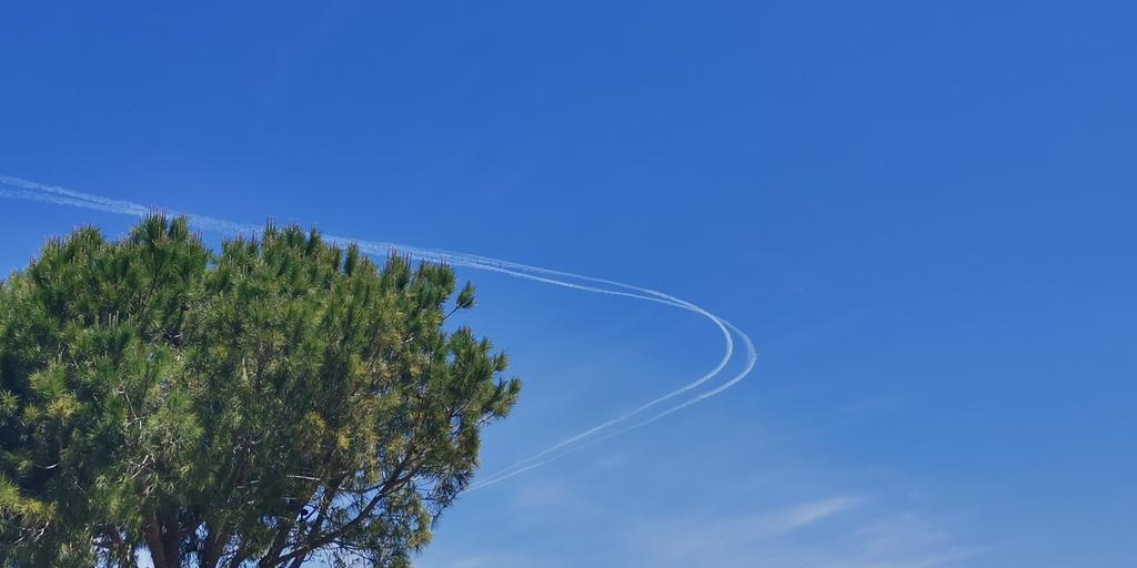 manar-09662700015884960319