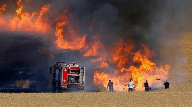 Les ballons incendiaires, le cauchemar des colons sionistes.
