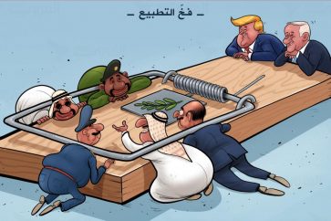 normalisation_caric-jpeg1