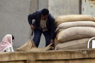 doc-p-376847-637522819433055320