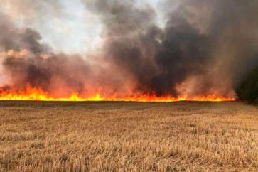 "Qu'ils s'en aillent. Nous restons"