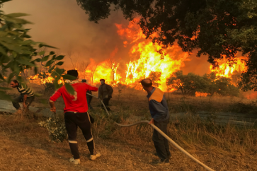 incendie_algerie