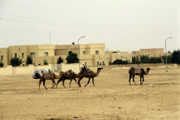 "Le Maroc craint surtout que les Sahraouis aient la possibilité de dénoncer les violations devant le tribunal africain des droits de l’homme et des peuples".