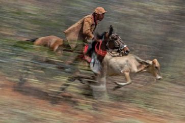 Lula, qui a remporté le premier tour le 2 octobre sur un score plus serré que prévu (48% contre 43%), s'est largement imposé dans le nord-est (67%-27%).