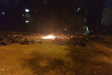 a5d744d4-9c8c-4e8a-b4e0-953c01779d56